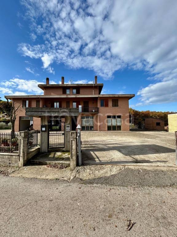 immagine annuncio 12 di 13