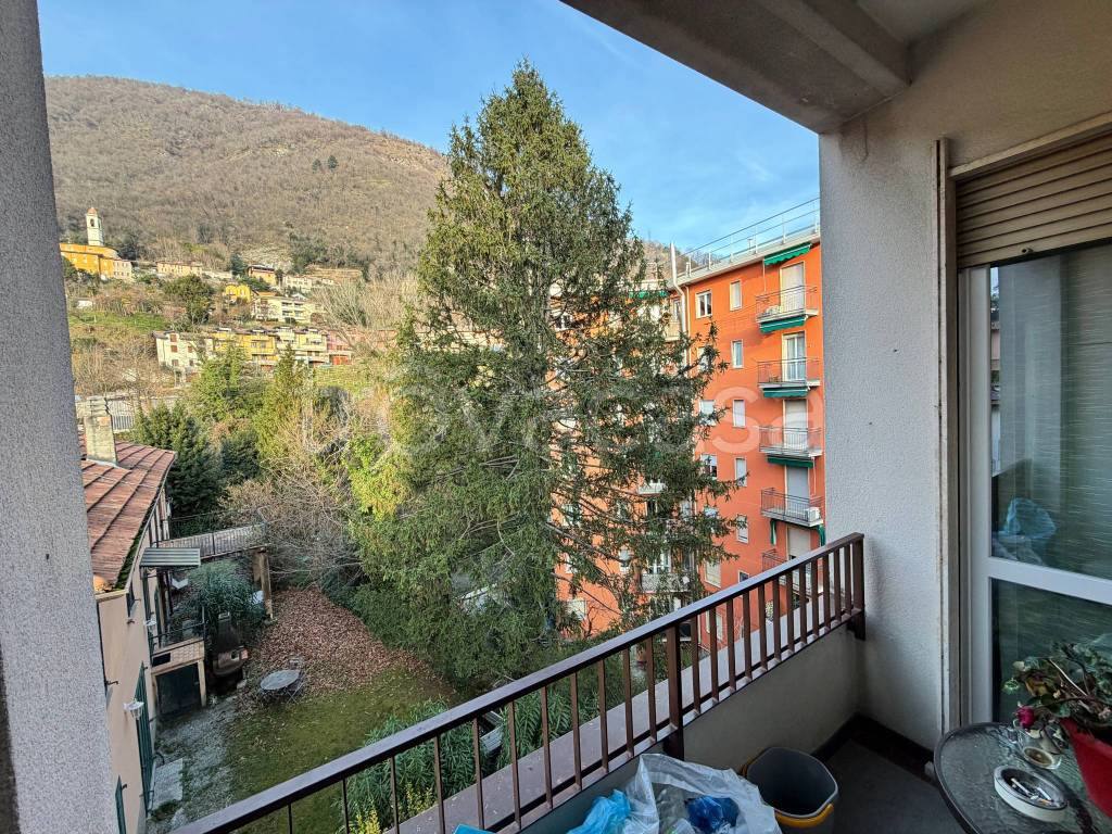 immagine annuncio 7 di 14