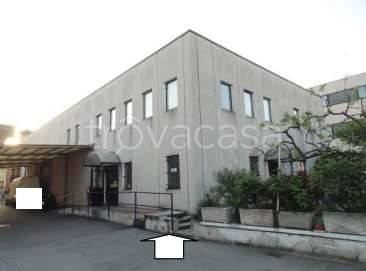 immagine annuncio 1 di 7