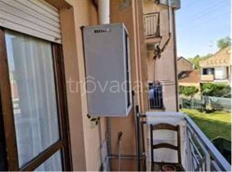 immagine annuncio 5 di 12