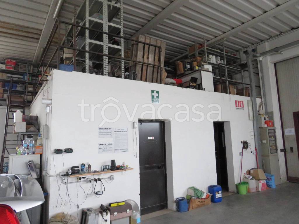 immagine annuncio 11 di 15