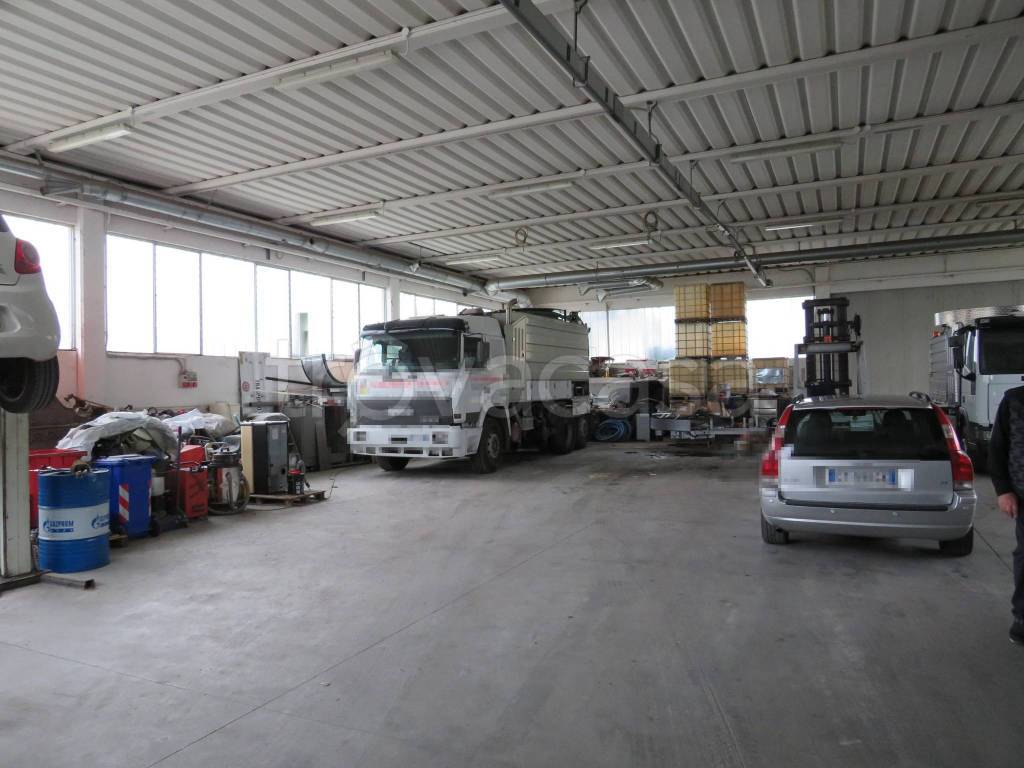 immagine annuncio 12 di 15