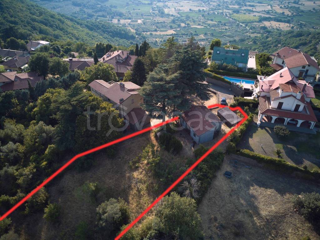 immagine annuncio 2 di 12