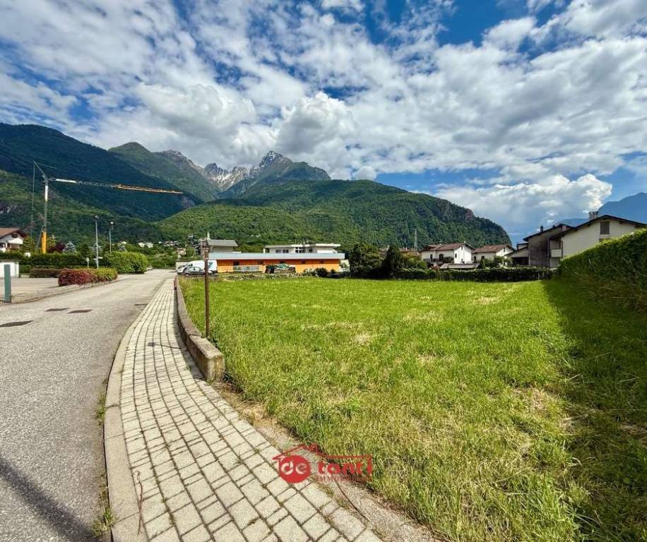 immagine annuncio 2 di 6