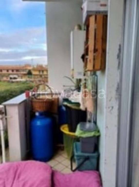 immagine annuncio 5 di 12