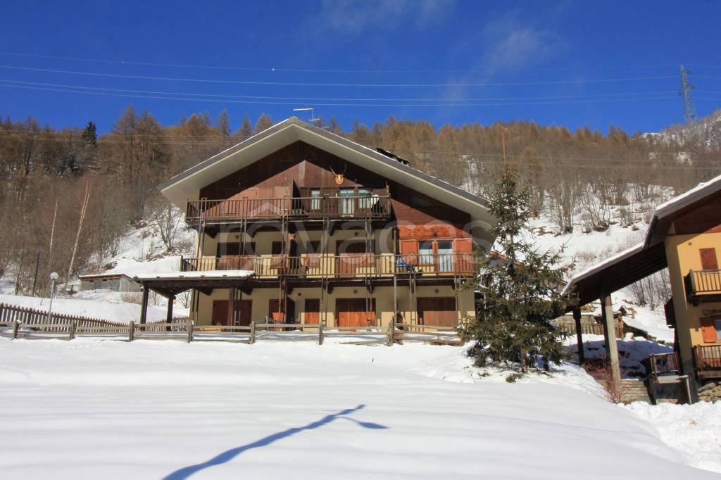 immagine annuncio 12 di 15