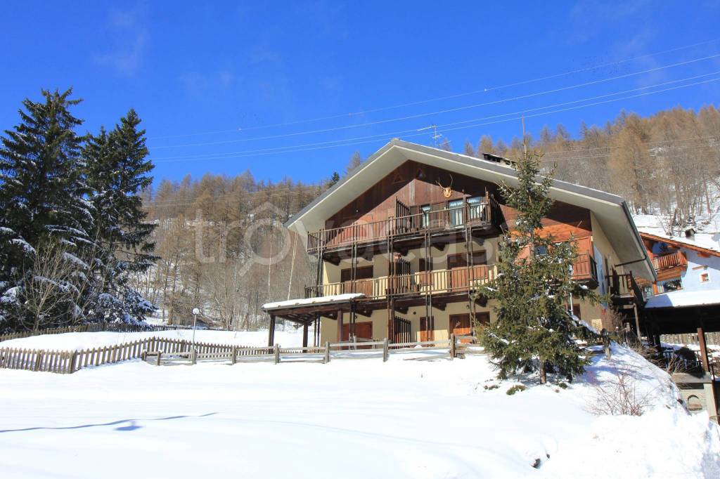 immagine annuncio 13 di 15