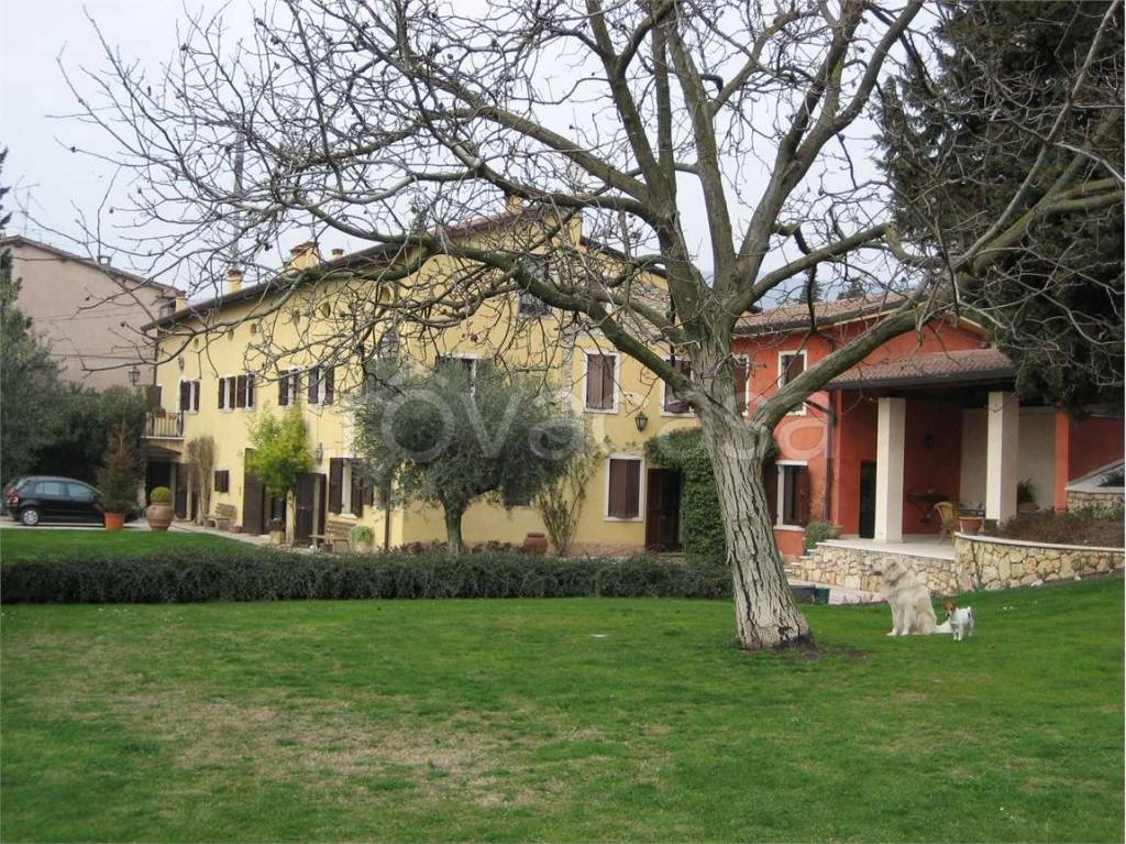 immagine annuncio 3 di 4