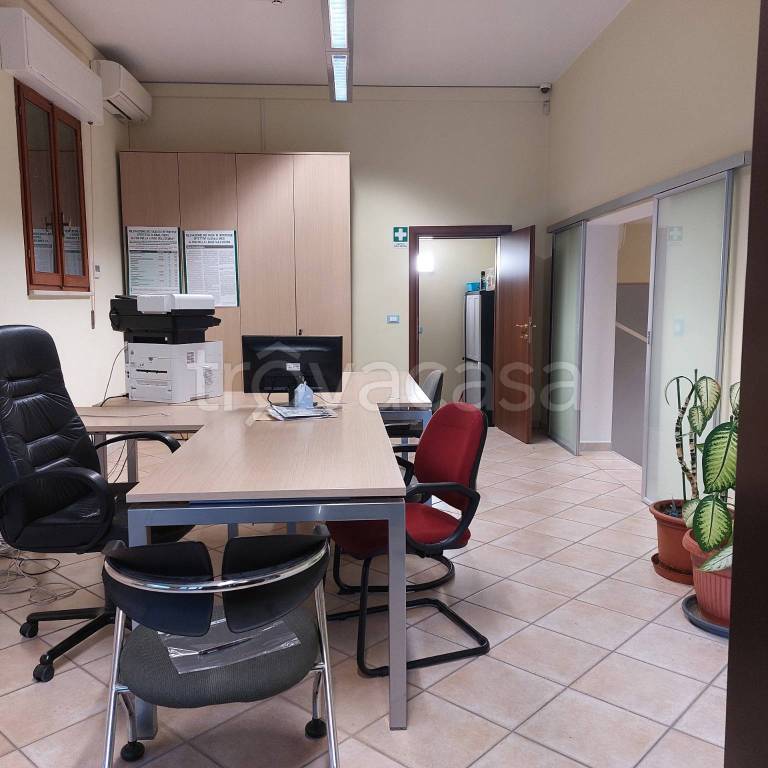 immagine annuncio 2 di 11