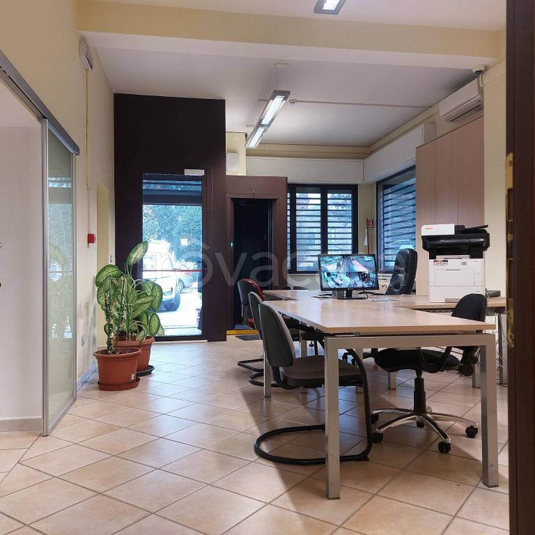 immagine annuncio 3 di 11