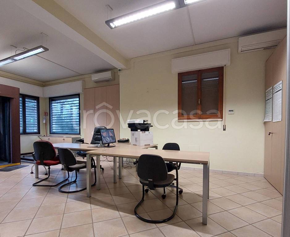 immagine annuncio 4 di 11