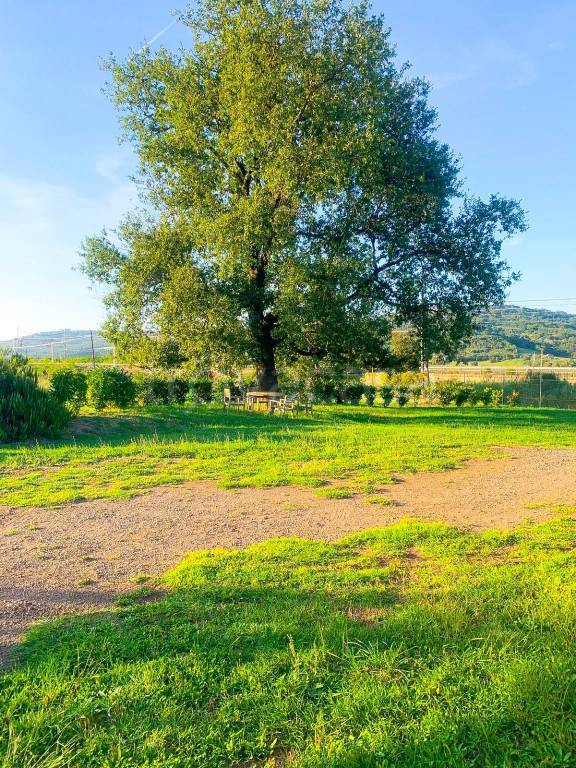 immagine annuncio 11 di 13