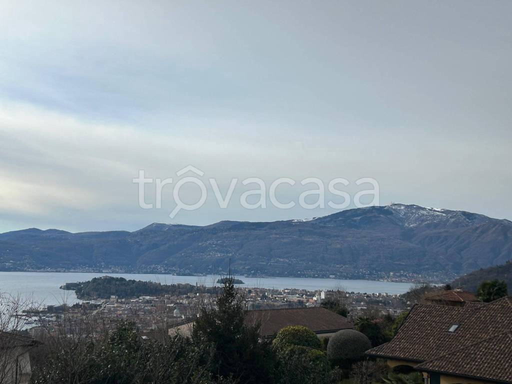 immagine annuncio 6 di 14