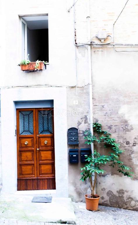 immagine annuncio 7 di 8