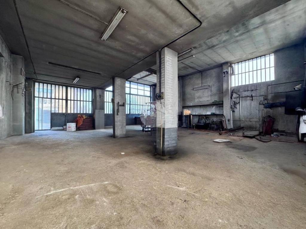 immagine annuncio 12 di 15