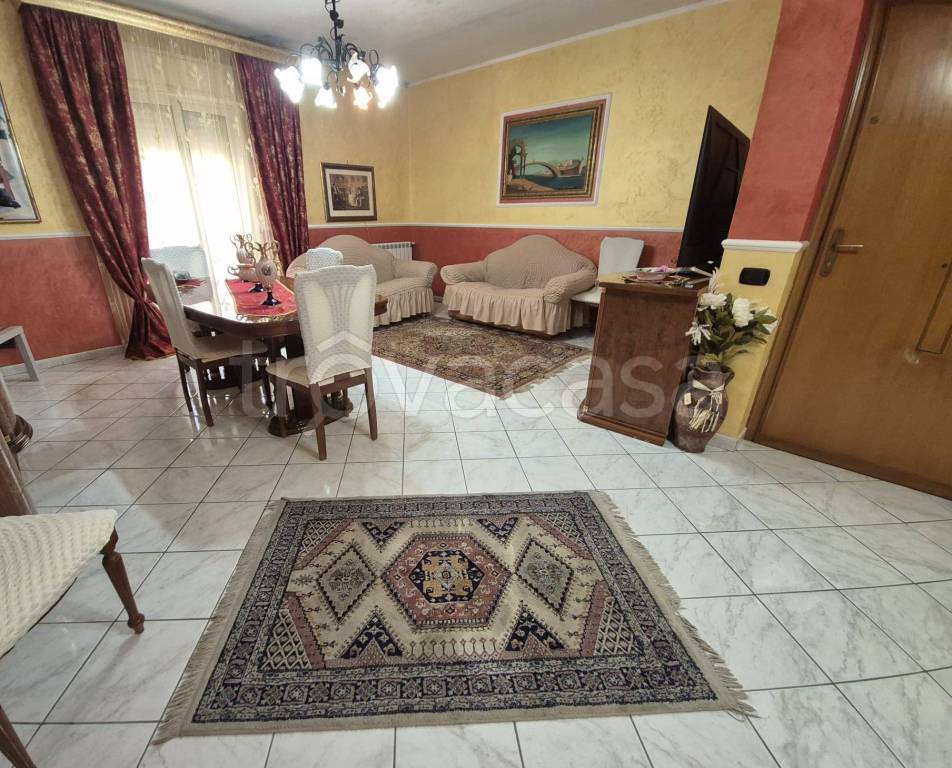 immagine annuncio 11 di 14