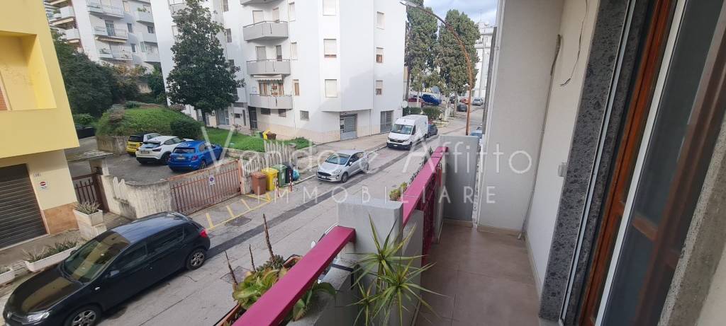 immagine annuncio 9 di 14