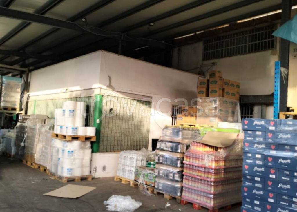 immagine annuncio 2 di 12