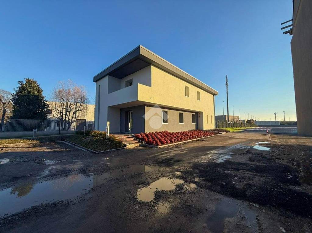 immagine annuncio 5 di 15