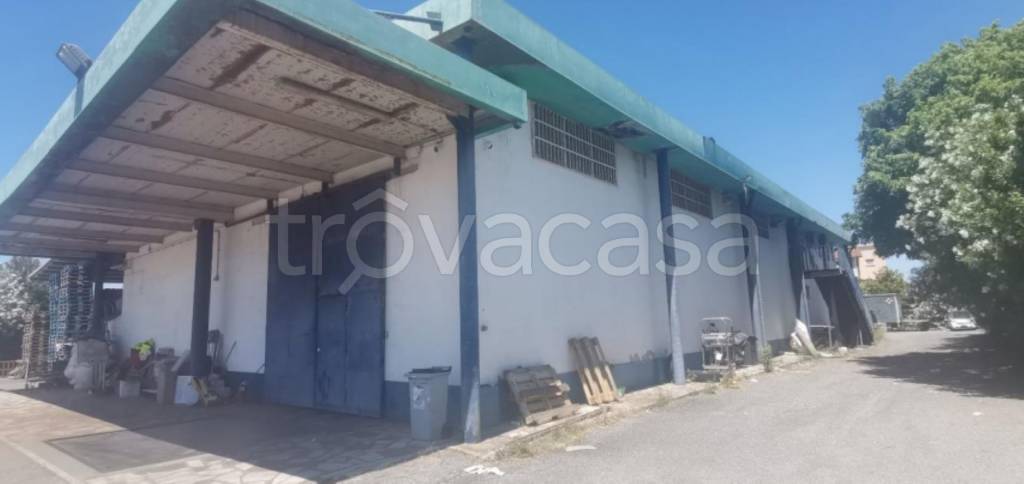 immagine annuncio 6 di 12