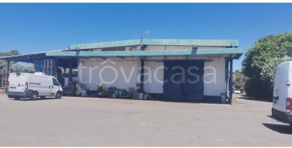 immagine annuncio 7 di 12