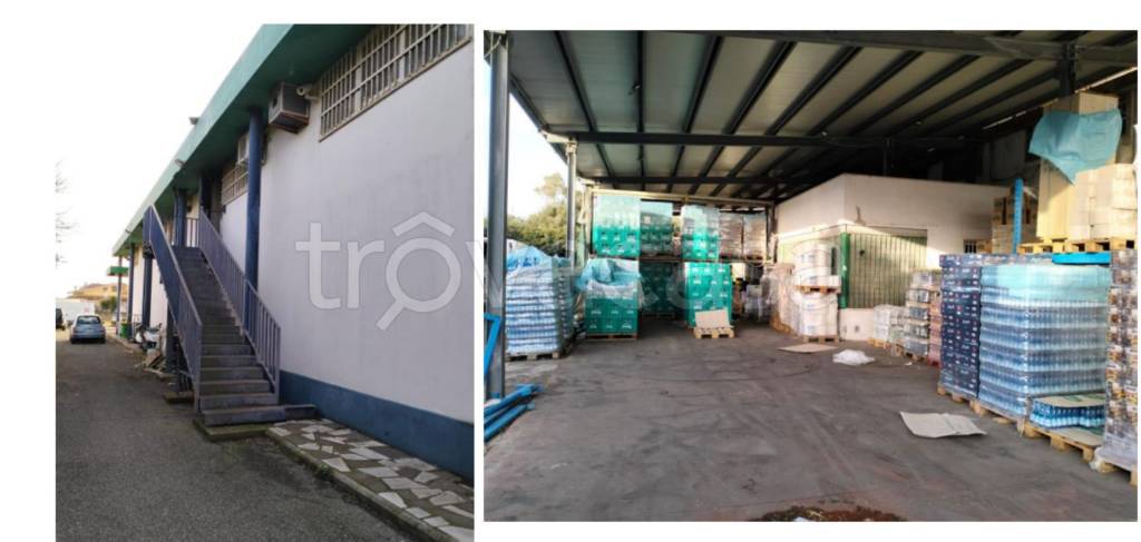 immagine annuncio 8 di 12