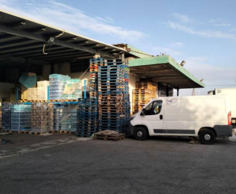 immagine annuncio 9 di 12