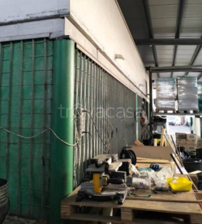 immagine annuncio 10 di 12