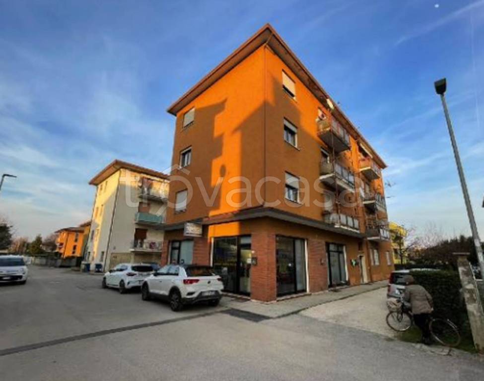 immagine annuncio 6 di 12