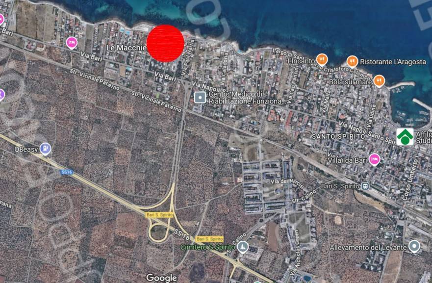 immagine annuncio 5 di 15