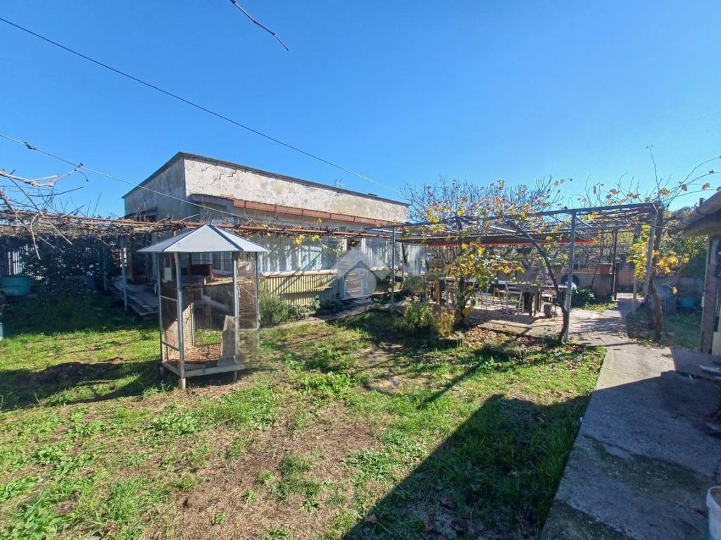 immagine annuncio 4 di 15