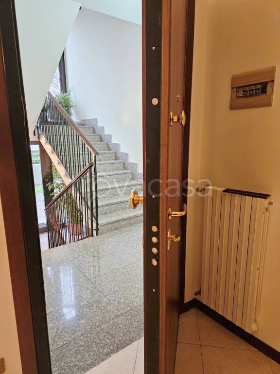 immagine annuncio 7 di 8