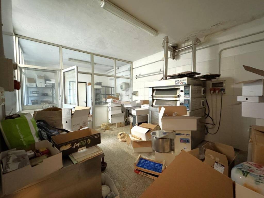 immagine annuncio 7 di 15