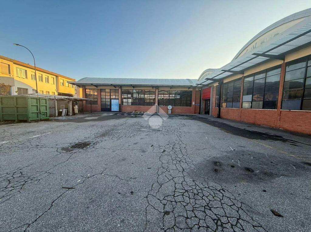 immagine annuncio 5 di 15