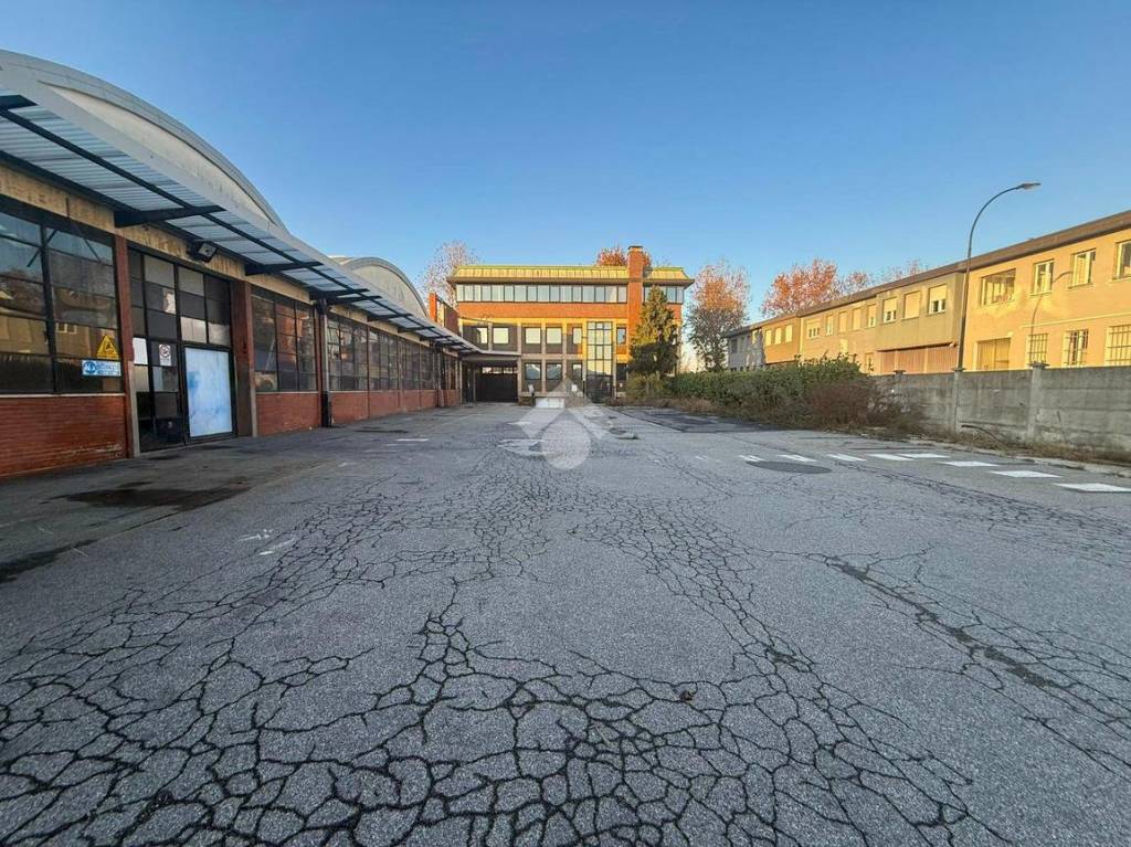 immagine annuncio 6 di 15