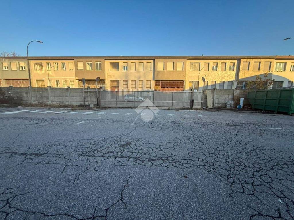 immagine annuncio 9 di 15