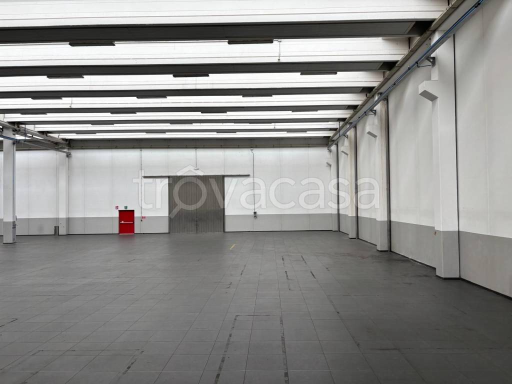 immagine annuncio 1 di 8