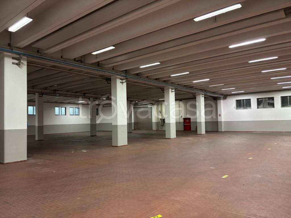 immagine annuncio 3 di 7