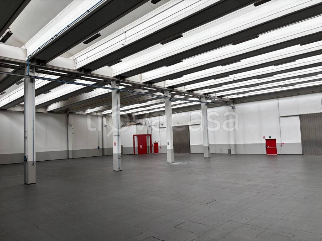 immagine annuncio 2 di 7