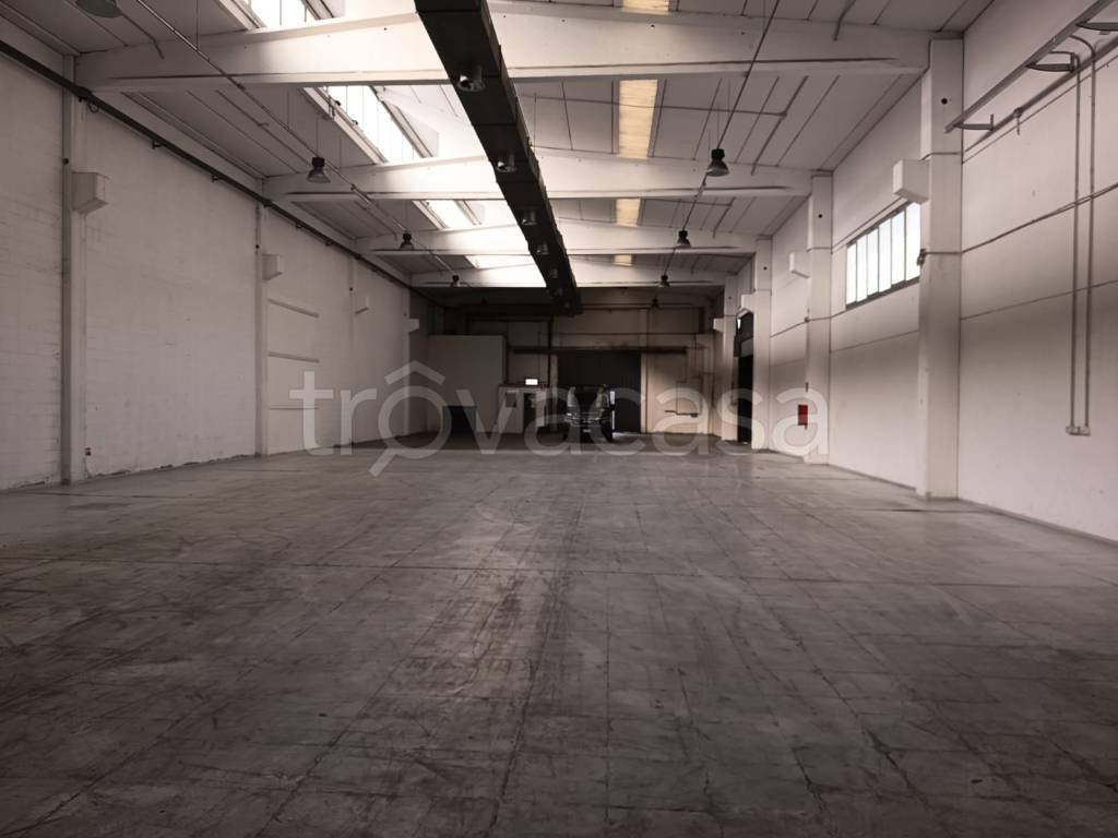 immagine annuncio 2 di 12