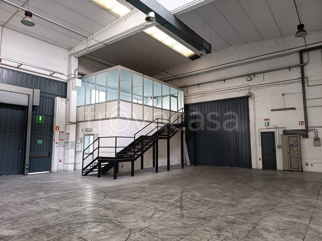 immagine annuncio 1 di 12