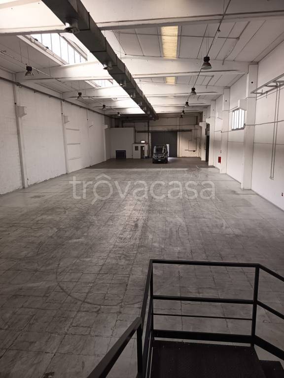 immagine annuncio 3 di 12