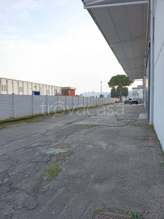 immagine annuncio 9 di 12