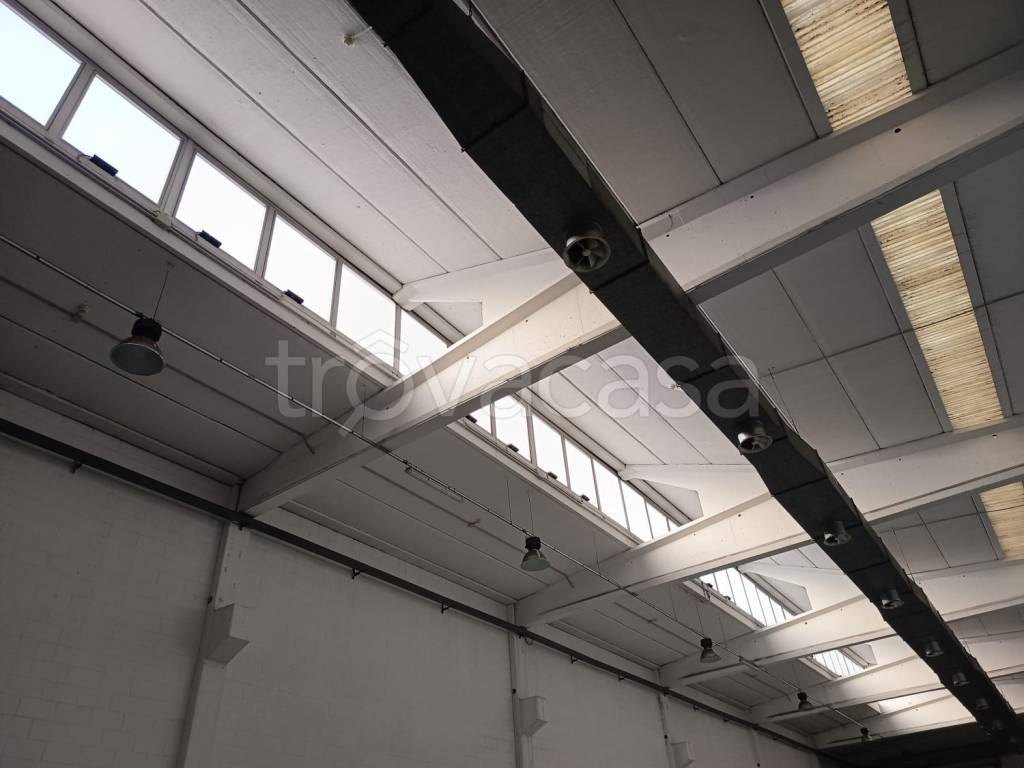 immagine annuncio 6 di 12