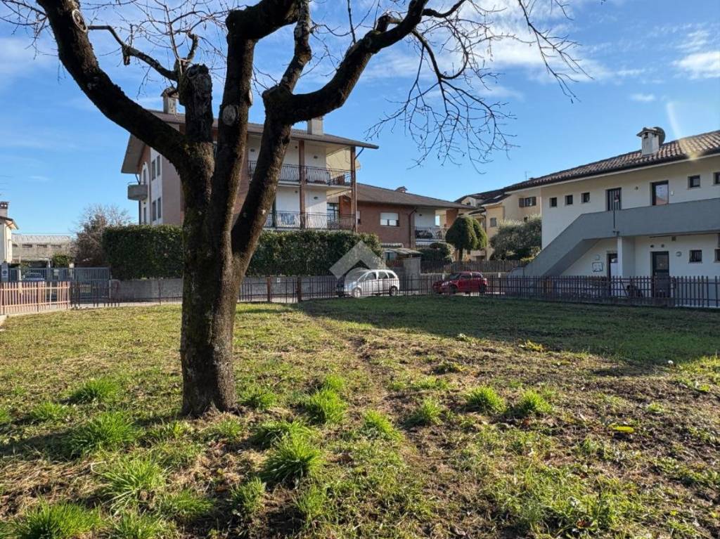 immagine annuncio 6 di 12