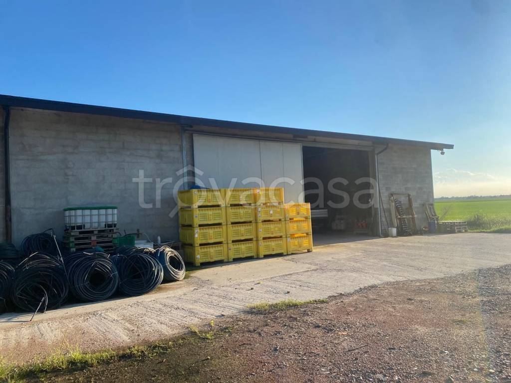 immagine annuncio 2 di 6