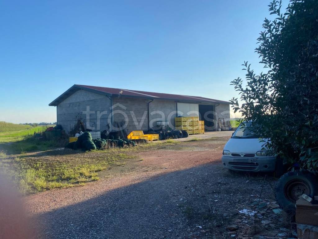 immagine annuncio 3 di 6