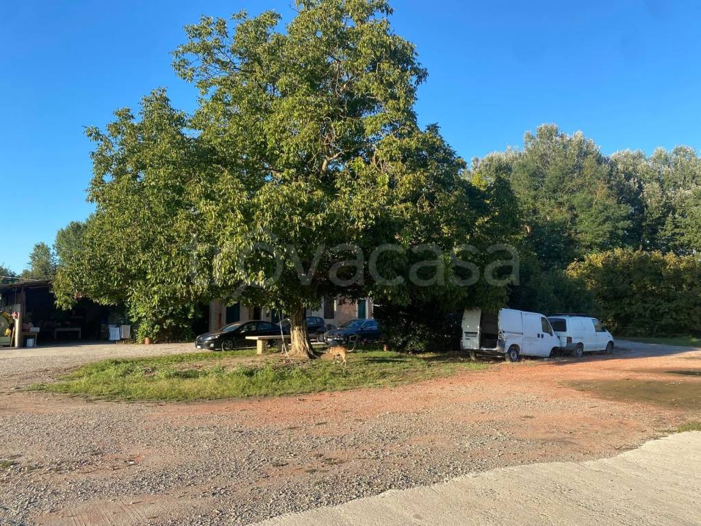 immagine annuncio 4 di 6