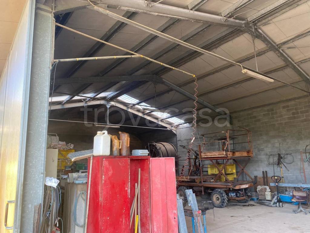 immagine annuncio 5 di 6