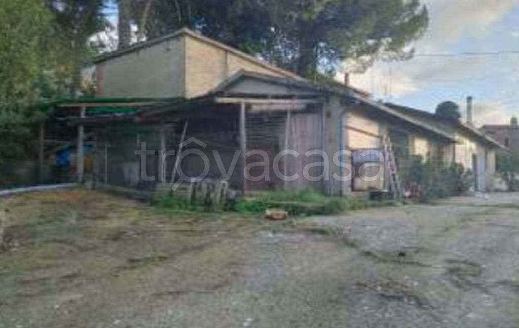 immagine annuncio 9 di 11